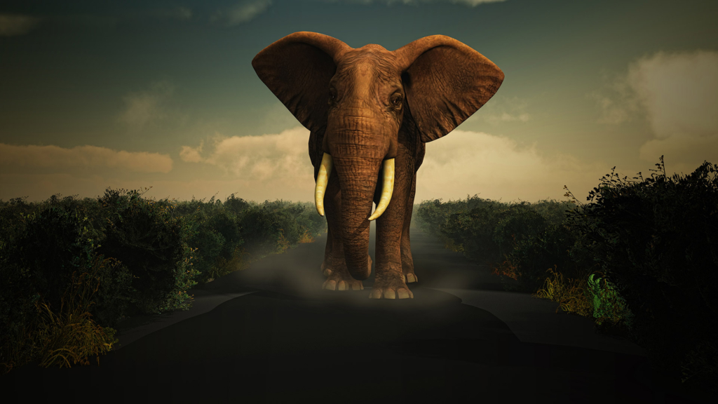 The Elephant Paradox