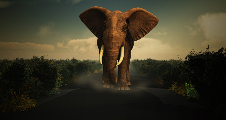 The Elephant Paradox